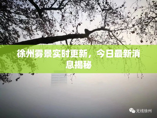 徐州雾景实时更新,今日最新消息揭秘