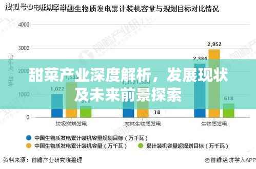 甜菜产业深度解析,发展现状及未来前景探索