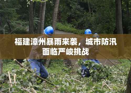 福建漳州暴雨来袭,城市防汛面临严峻挑战
