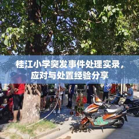 桂江小学突发事件处理实录，应对与处置经验分享