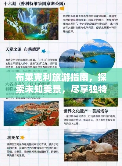 布莱克利旅游指南,探索未知美景,尽享独特体验!