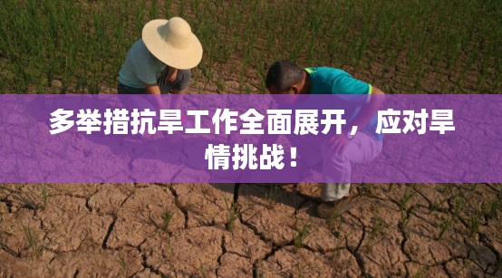 多举措抗旱工作全面展开,应对旱情挑战!