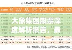 大象集团股票深度解析报告,最新动态与投资建议