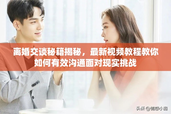离婚交谈秘籍揭秘,最新视频教程教你如何有效沟通面对现实挑战
