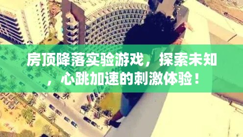 虫言鸟迹 第2页