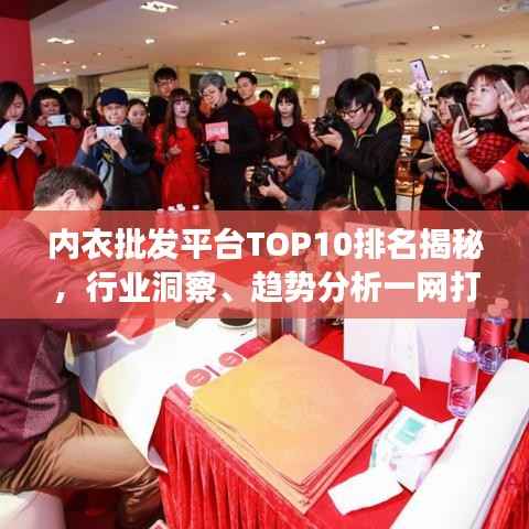 内衣批发平台TOP10排名揭秘,行业洞察、趋势分析一网打尽