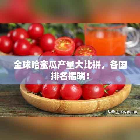 全球哈蜜瓜产量大比拼,各国排名揭晓!