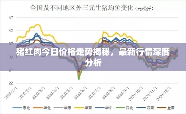 猪红肉今日价格走势揭秘,最新行情深度分析