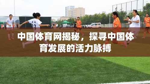 中国体育网揭秘，探寻中国体育发展的活力脉搏