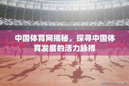 中国体育网揭秘,探寻中国体育发展的活力脉搏