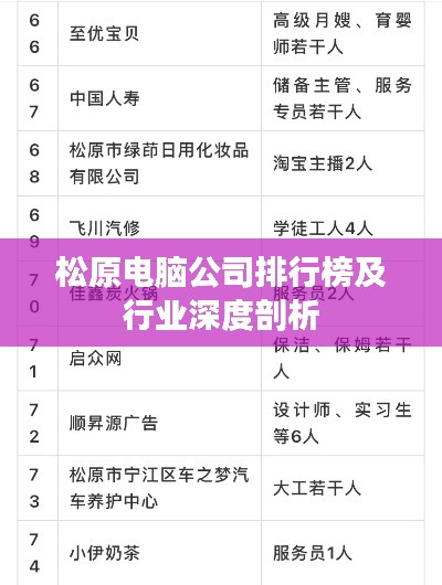 松原电脑公司排行榜及行业深度剖析