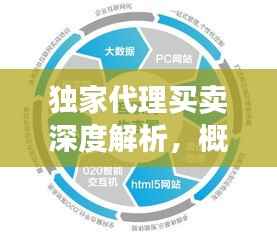 独家代理买卖深度解析,概念、运作与多方影响探究