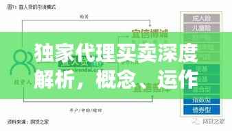 独家代理买卖深度解析,概念、运作与多方影响探究