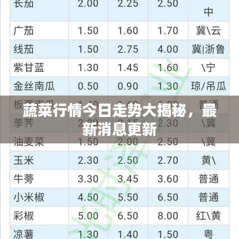 蔬菜行情今日走势大揭秘,最新消息更新