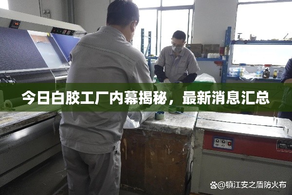 今日白胶工厂内幕揭秘,最新消息汇总