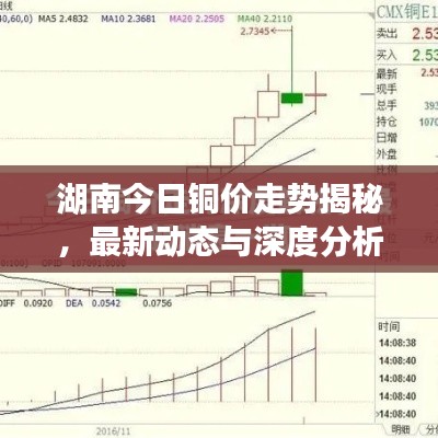 湖南今日铜价走势揭秘,最新动态与深度分析