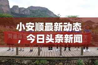 小安顺最新动态,今日头条新闻报道汇总