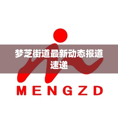 梦芝街道最新动态报道速递