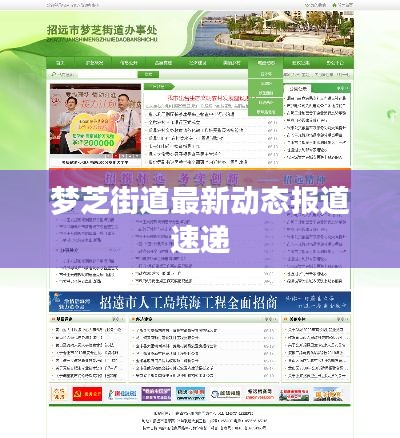 梦芝街道最新动态报道速递