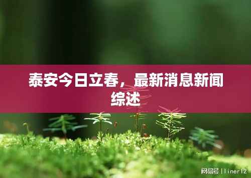 泰安今日立春,最新消息新闻综述