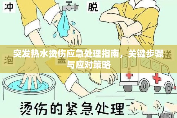 突发热水烫伤应急处理指南,关键步骤与应对策略