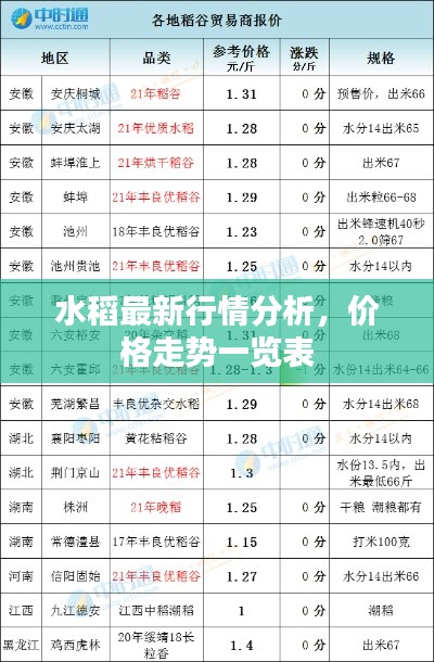 水稻最新行情分析,价格走势一览表