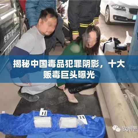揭秘中国毒品犯罪阴影,十大贩毒巨头曝光