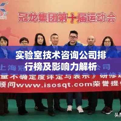 实验室技术咨询公司排行榜及影响力解析
