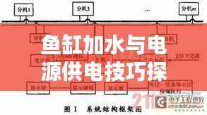 鱼缸加水与电源供电技巧探讨,一篇文章全解析!