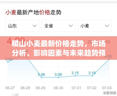 稷山小麦最新价格走势,市场分析、影响因素与未来趋势预测