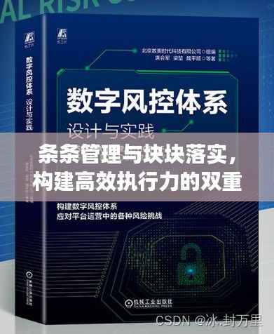 条条管理与块块落实,构建高效执行力的双重保障策略