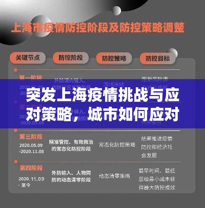 突发上海疫情挑战与应对策略,城市如何应对危机?