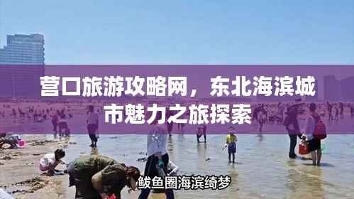 营口旅游攻略网,东北海滨城市魅力之旅探索