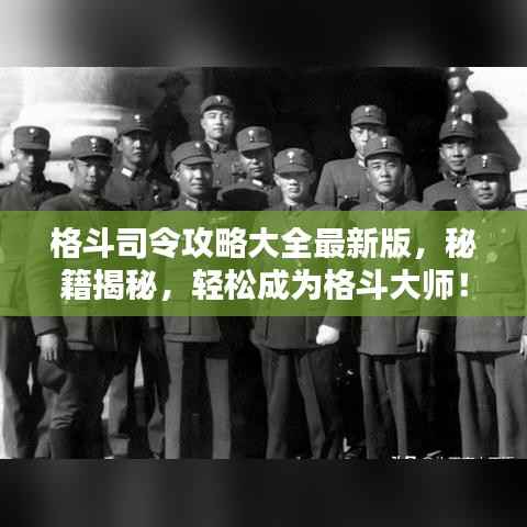 格斗司令攻略大全最新版,秘籍揭秘,轻松成为格斗大师!