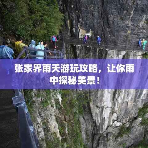 张家界雨天游玩攻略,让你雨中探秘美景!