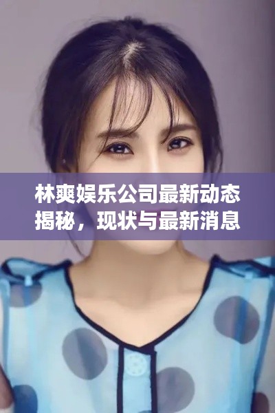 林爽娱乐公司最新动态揭秘,现状与最新消息全面解读