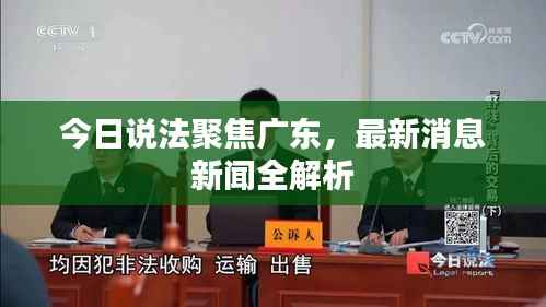 今日说法聚焦广东,最新消息新闻全解析