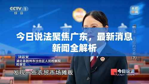 今日说法聚焦广东,最新消息新闻全解析