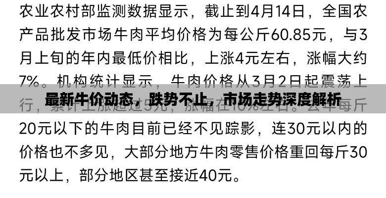 最新牛价动态,跌势不止,市场走势深度解析