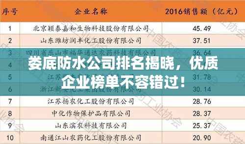 娄底防水公司排名揭晓,优质企业榜单不容错过!