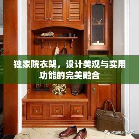 独家院衣架,设计美观与实用功能的完美融合