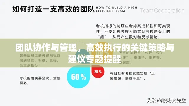 团队协作与管理,高效执行的关键策略与建议专题提醒