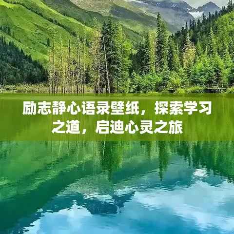 励志静心语录壁纸,探索学习之道,启迪心灵之旅
