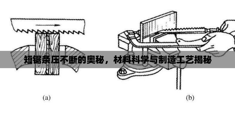 短锯条压不断的奥秘,材料科学与制造工艺揭秘