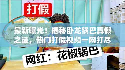 最新曝光!揭秘卧龙锅巴真假之谜,热门打假视频一网打尽!