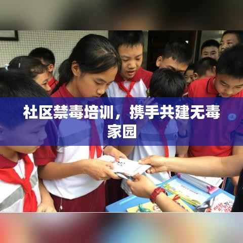 社区禁毒培训,携手共建无毒家园