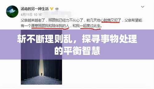 斩不断理则乱,探寻事物处理的平衡智慧