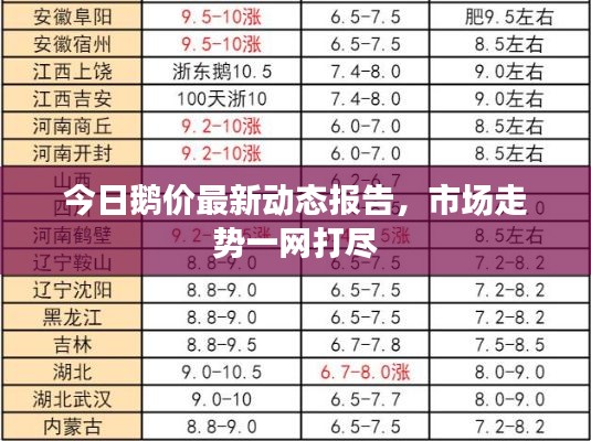 敷衍了事 第2页