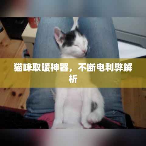 猫咪取暖神器,不断电利弊解析