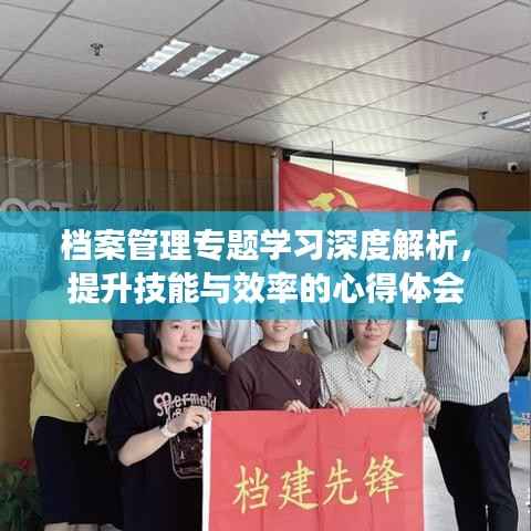 档案管理专题学习深度解析,提升技能与效率的心得体会